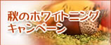 ニューシーズン、ブライダルキャンペーン