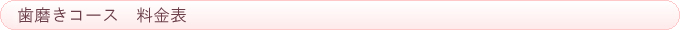 歯磨きコース　料金表