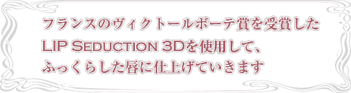 フランスのヴィクトールボーテ賞を序章したLIP SEDUCTION 3Dを使用して、ふっくらした唇に仕上げていきます。