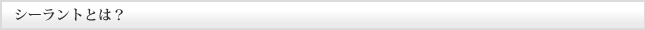 シーラントとは